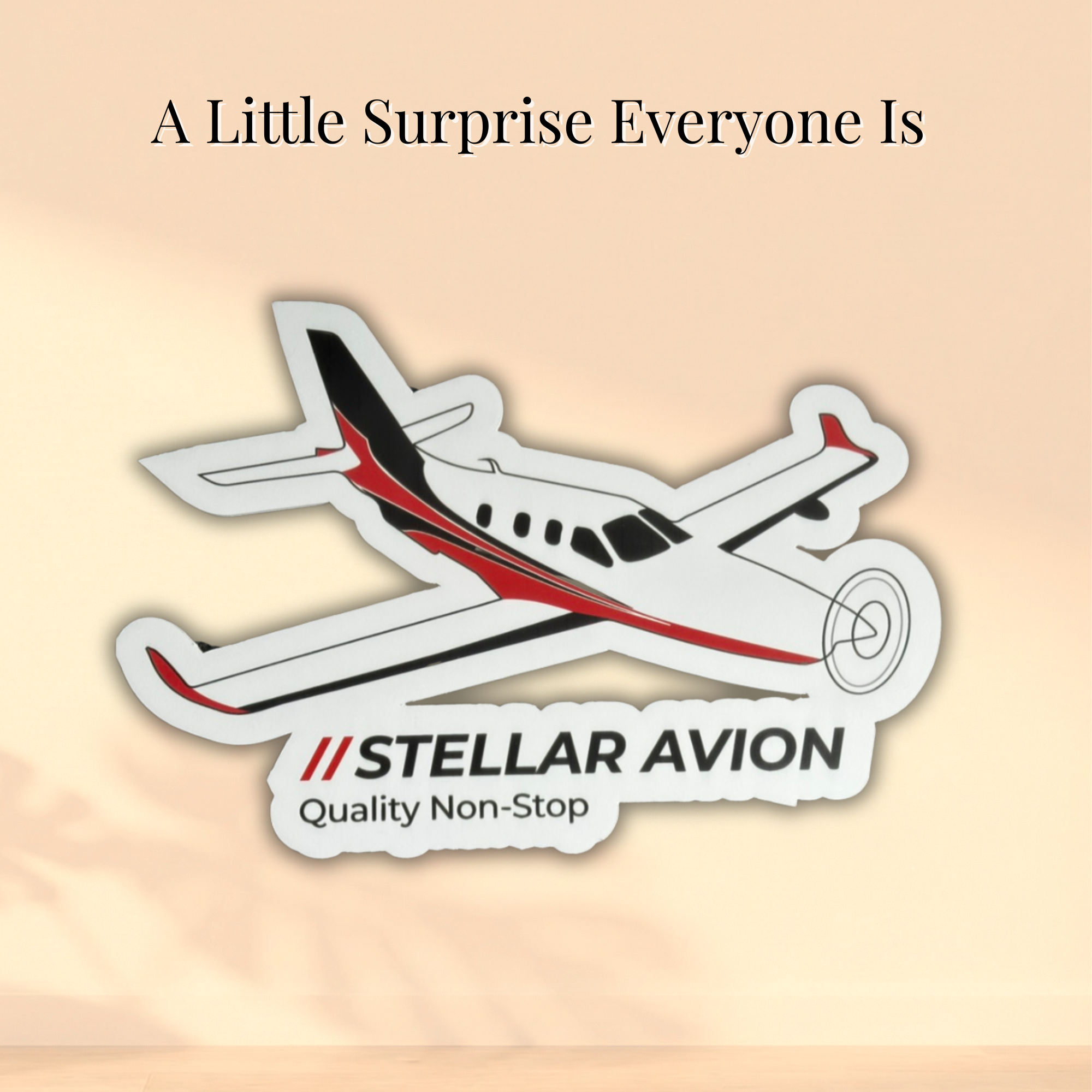 Die-cut foam board marketing display shaped like a red, black and white airplane